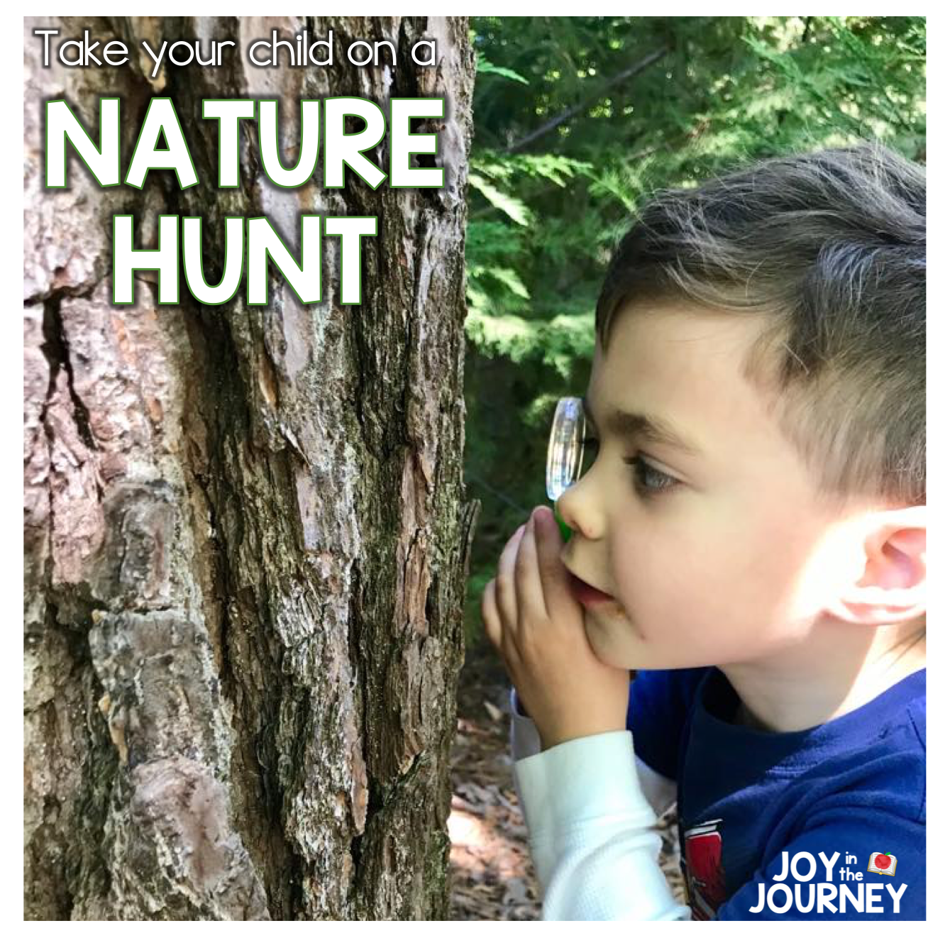 Nature Hunt Preschool Learning Activity