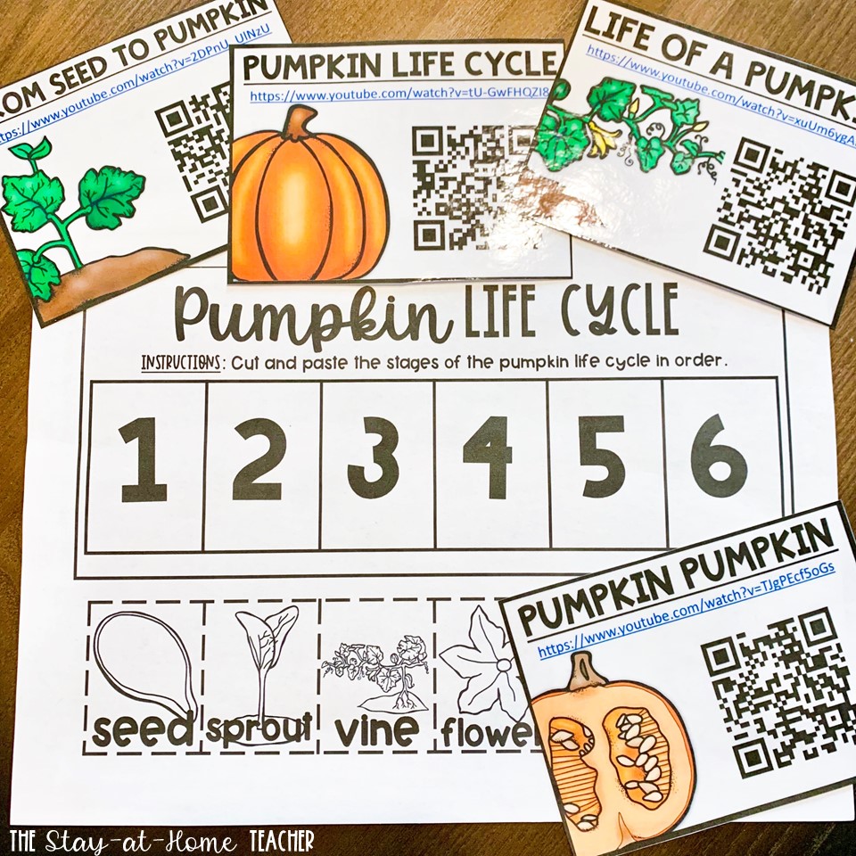 Pumpkin Life Cycle FREEBIE