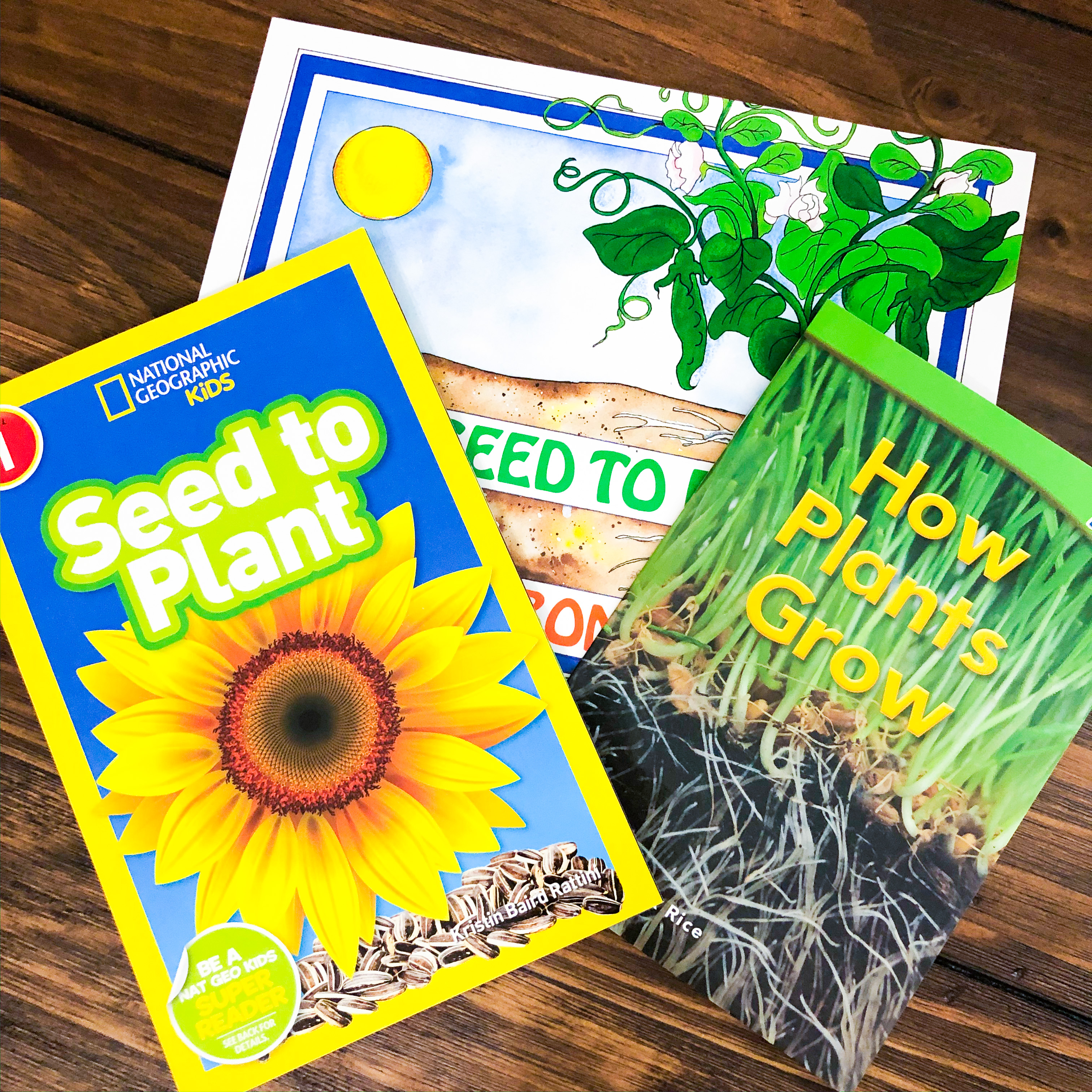 Flower Themed Books and Activities for Little Learners