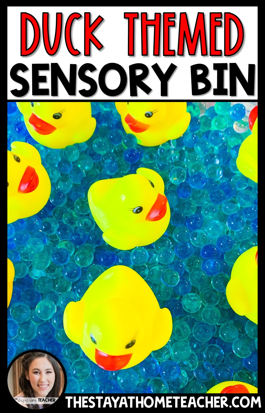 Duck Sensory Bin