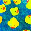 Pond Books and Activities for Little Learners - The Stay-at-Home Teacher