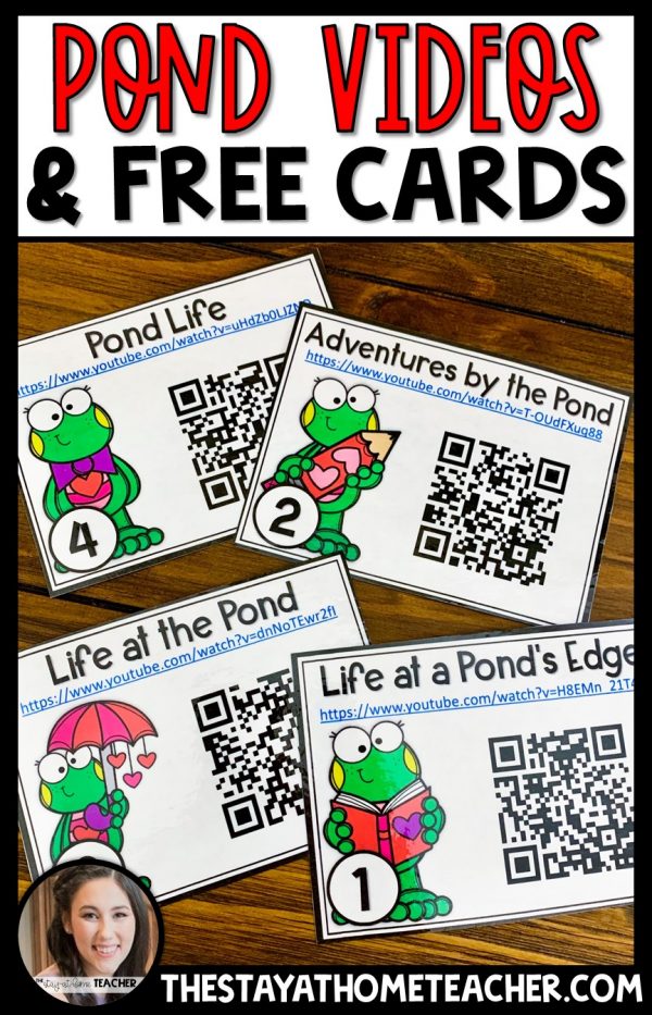 Pond Books and Activities for Little Learners - The Stay-at-Home Teacher