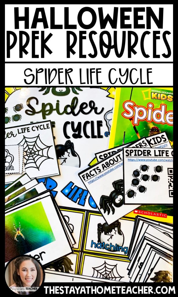 spider life cycle study