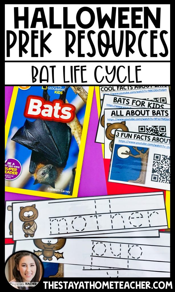 bat life cycle study