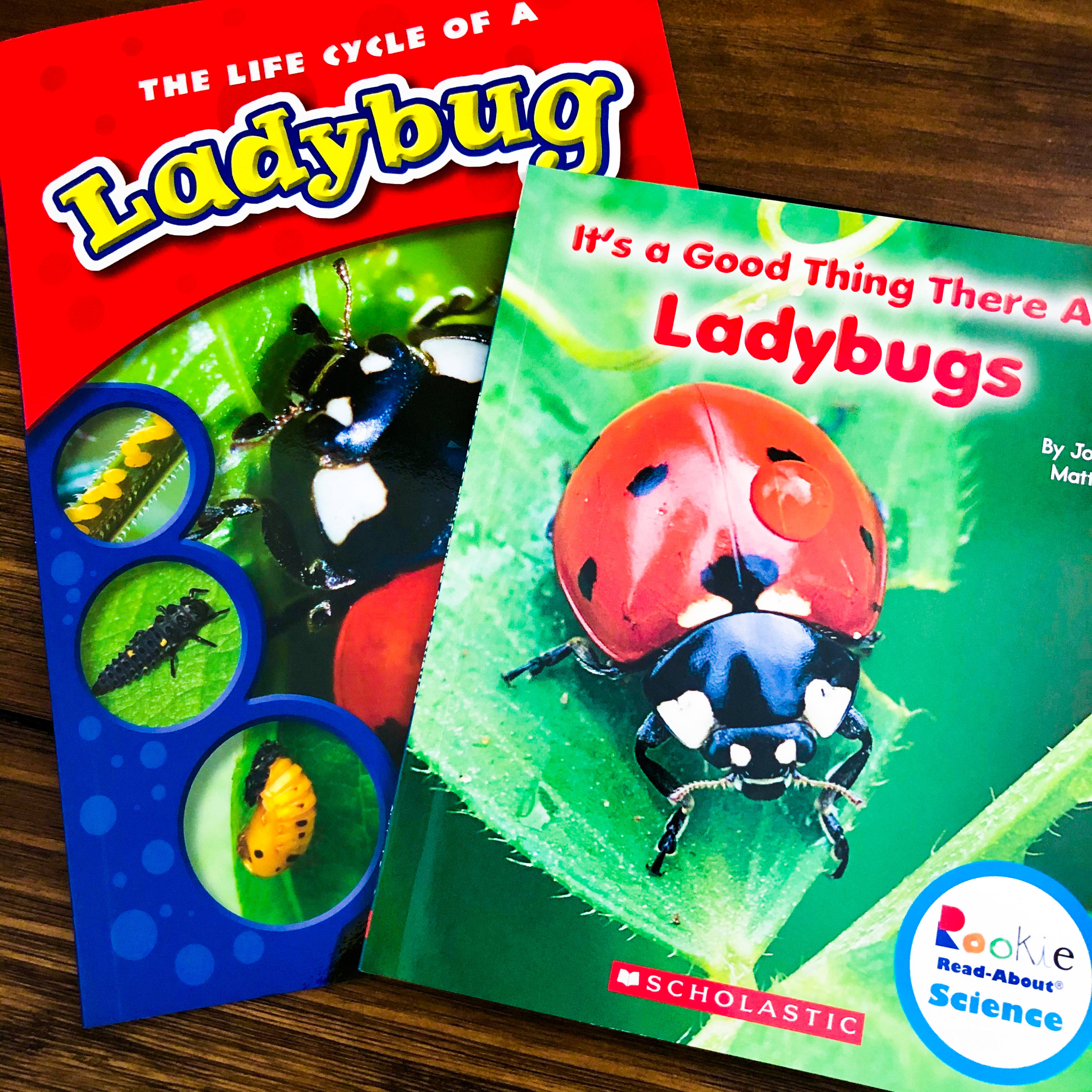 Books All About Bugs for Little Learners