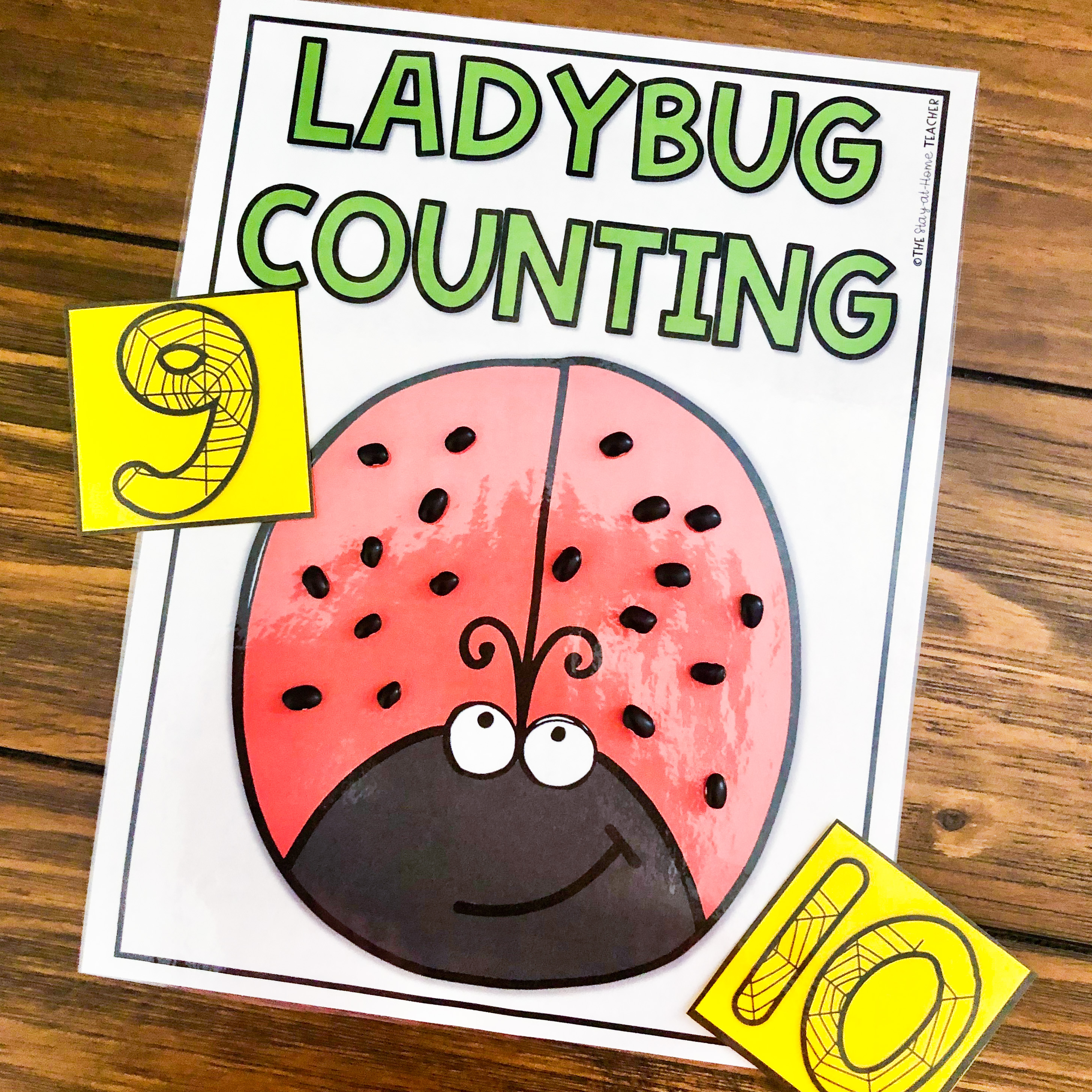 Bug Books and Activities for Little Learners