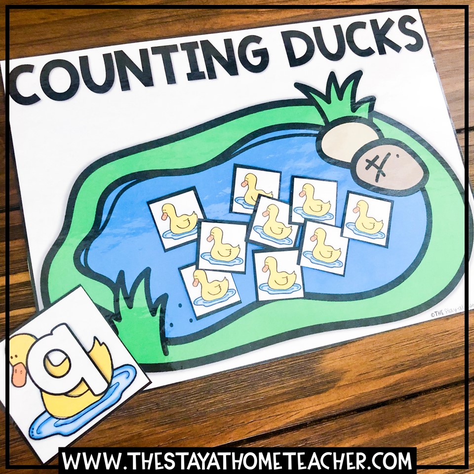 counting ducks