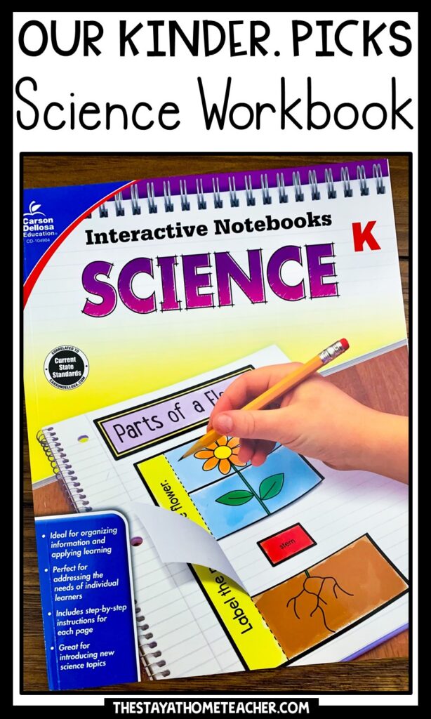 science workbook pin