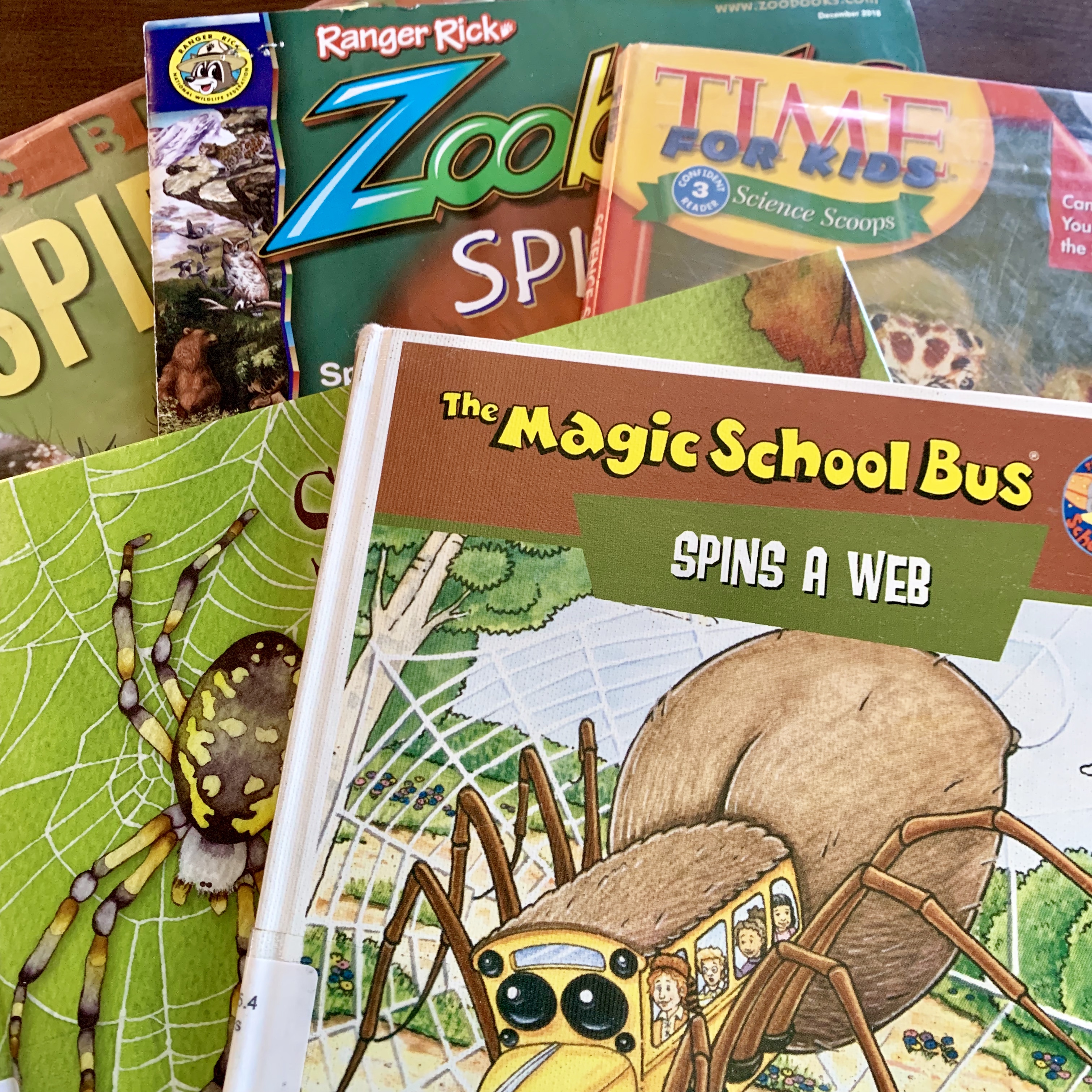 Spider Books and Activities for Little Learners