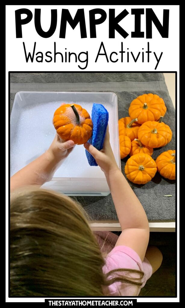 pumpkin washing