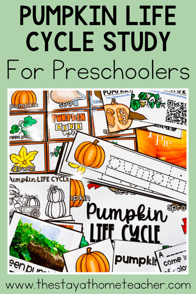pumpkin life cycle study
