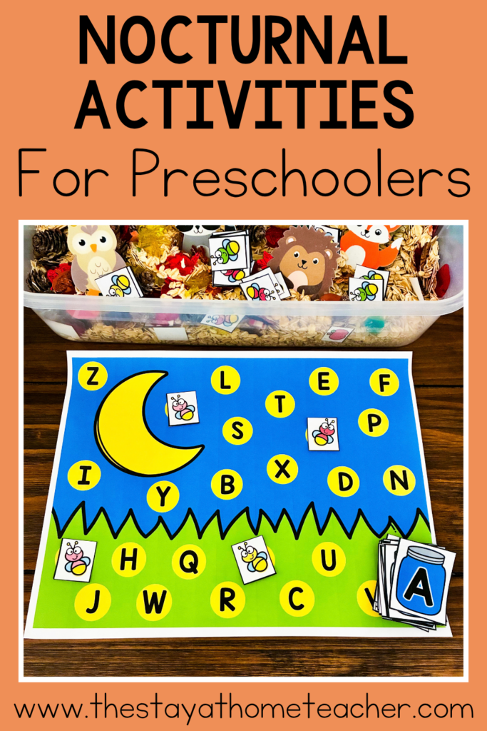 nocturnal animals preschool centers pin